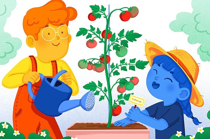 Imagen del curso El huerto escolar, un primer paso hacia el desarrollo sostenible