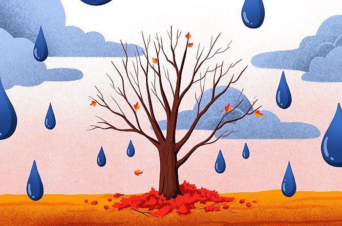 Imagen del curso Salud emocional. Acompañar a niños y jóvenes en las adversidades, la muerte y el duelo